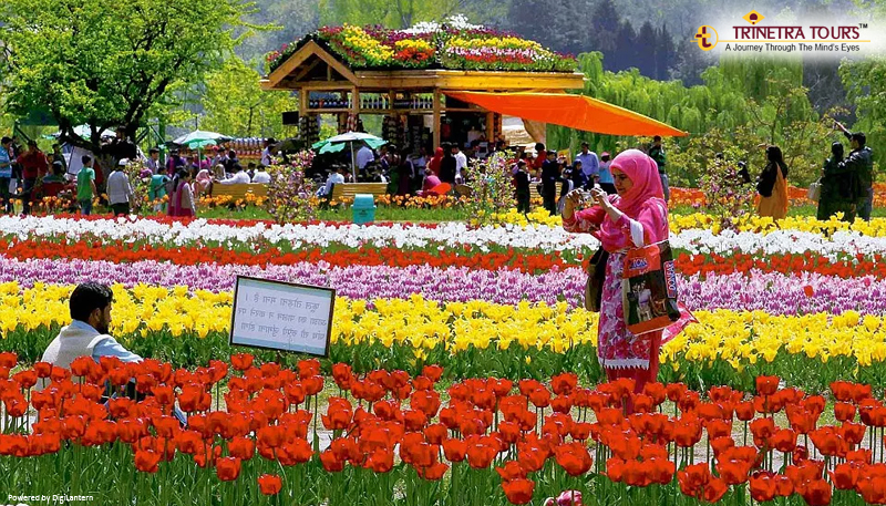 kashmir-mughal-garden